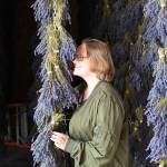 Hailee Williams of Puyallup enjoys the smell of drying lavender at B&B Family Farm in mid-July during Sequims 2021 Lavender Weekend. Sequim Gazette photo by Michael Dashiell