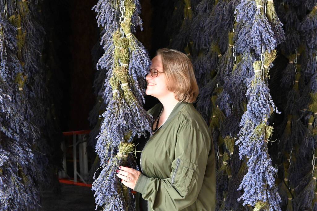 Hailee Williams of Puyallup enjoys the smell of drying lavender at B&B Family Farm in mid-July during Sequims 2021 Lavender Weekend. Sequim Gazette photo by Michael Dashiell