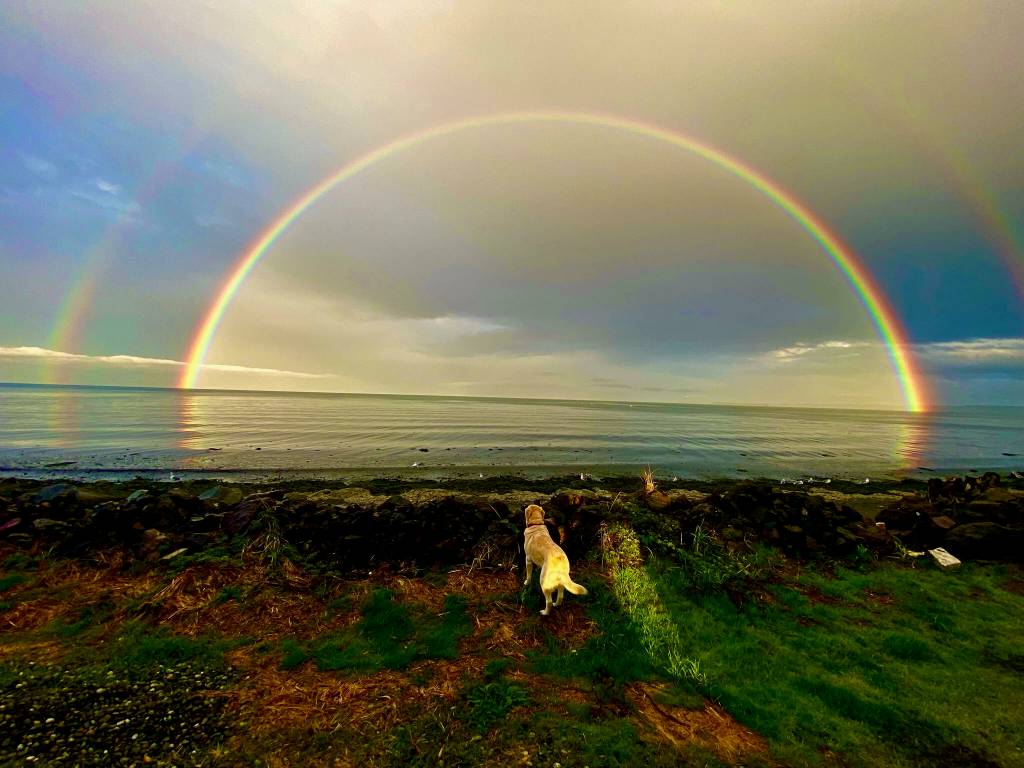 Contributor David Kruth and his dog Captain spot this double rainbow over Dungeness Bay on Oct. 6.