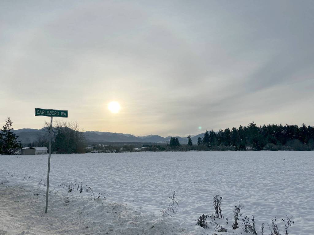 The sun radiates fields covered in snow in Carlsborg last weekend. Sequim Gazette photo by Matthew Nash