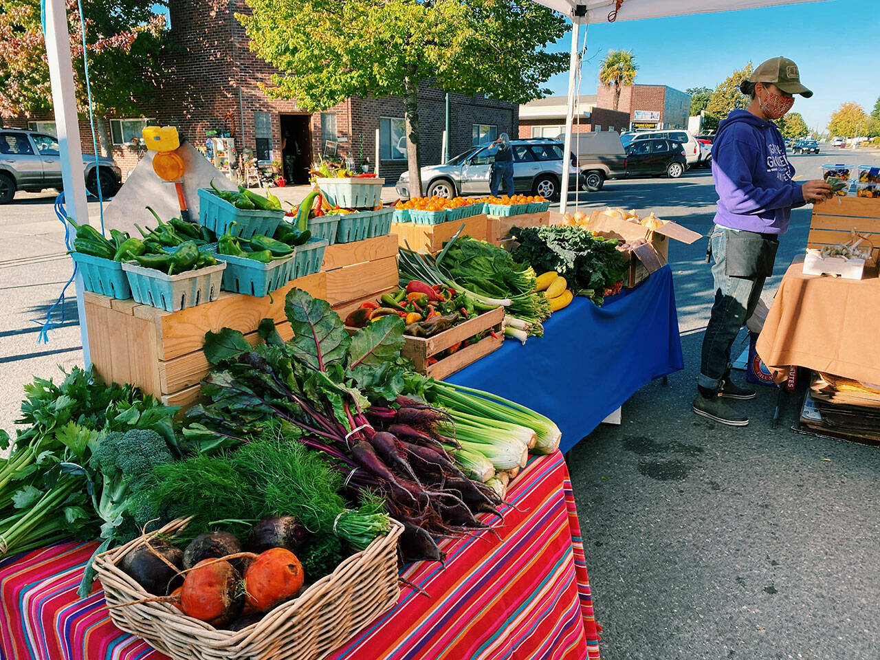 Photo by Emma Jane Garcia
Kia Armstrong of Beanstalk Farm displays produce at the Sequim Farmers & Artisans Market.