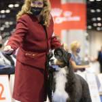 Susan Parr of Port Angeles and her Bernese Mountain Dog MBISS GCHS Lavender Hills Sin City, RN  aka Vegas  win best of breed against an entry of 48 of the top Bernese mountain dogs in the country at the American Kennel Club National Championships held in Orlando, Fla. Pictured are Vegas with her handler and co-owner Cindy Crawford-Garath. Photo by Carolina Bibiloni
