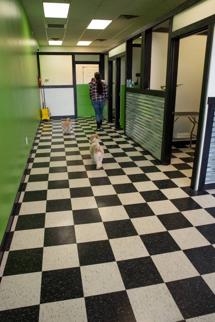 The interior of Sonnys Self Wash in Sequim. Sequim Gazette photo by Emily Matthiessen
