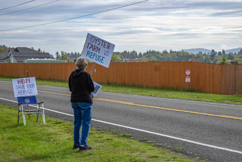 Janet Marx of Protect the Peninsulas Future waits on the edge of Lotzgesell Road in Sequim to share information with people entering the Dungeness Wildlife Refuge about a planned oyster farm at the refuge in October 2021. Sequim gazette photo by Emily Matthiessen