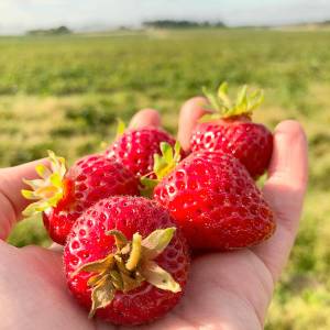 Sound Publishing file photo