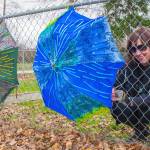 Sequim Gazette photo by Emily Matthiessen
Brigitte Schlemmer of Sequim hangs a Flumbro: an umbrella repurposed with materials like yarn and buttons in Carrie Blake Community Park. Schlemmer encourages other people to submit their imperfect art to Sequim Citys Art Commissions Art All Over - The Art Show Without Walls via a link: sequimwa.gov/1008/Art-All-Over-The-Art-Show-Without-Wall. Submissions will be accepted for months in the hope that more people will submit their art for hanging in Sequim city parks. See story, B-1.