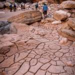 A side hike up National Canyon in search of a water source. Photo by Dave Shreffler