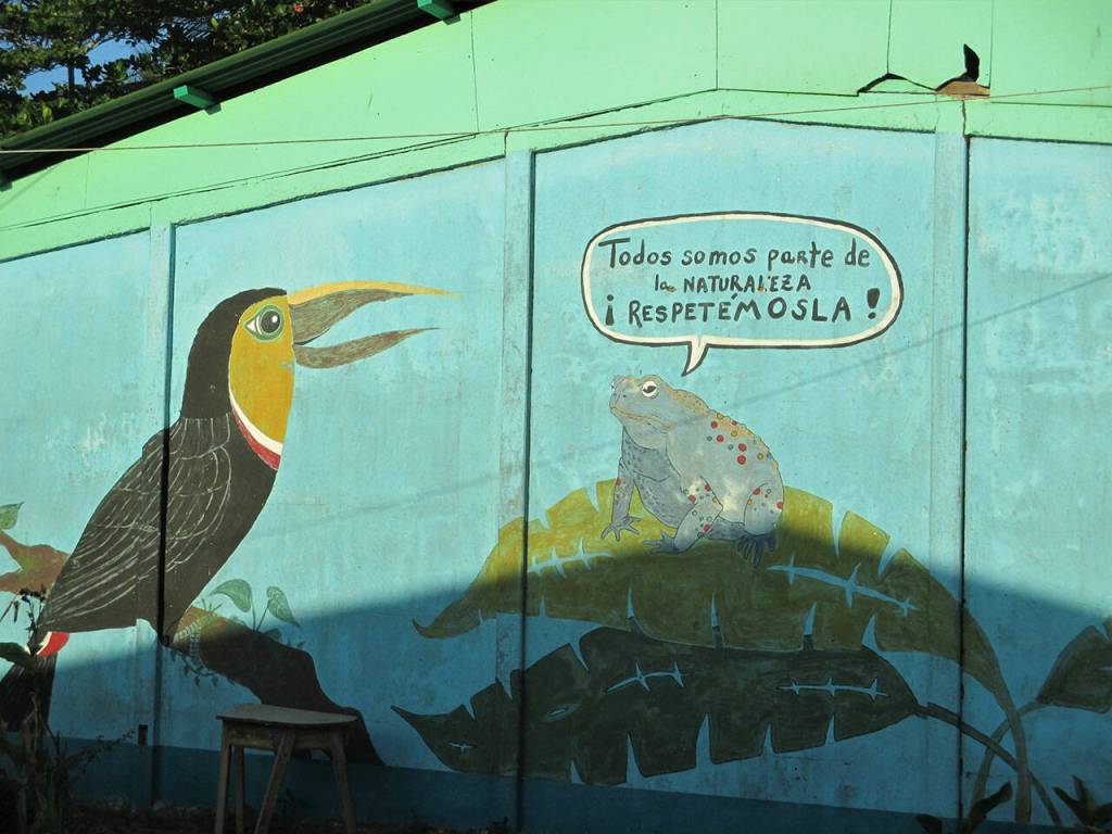 Artwork lines a wall at Tortuguero Elementary School. Photo by Mike Barton