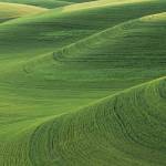 Submitted photo
Photographer Ken Kennedys works will be on display in the Judith McInnes Tozzer Gallery at Sequim Museum & Arts during the First Friday Art Walk Sequim on March 4.