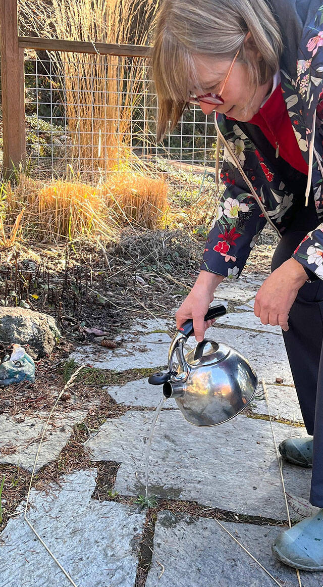 Photo by Michael Korinek
Separate the facts from fiction on home remedies for weed control with Jefferson County Master Gardener Christine Heycke (pictured) for the presentation Weeding Out the Truth: What Works and What Doesnt for Weed Control from noon-1 p.m. on Thursday, March 10, on Zoom.