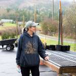 Lissa Bennett, owner of Friendly Natives Plant and Design, pauses in her work on a rainy day at the end of March in Happy Valley. Sequim Gazette photo by Emily Matthiessen