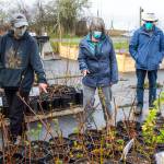 Owner Lissa Bennet shows customers some of the plants sold at Friendly Natives Plant and Design. Photo by Emily Matthiessen