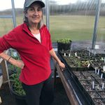 Lissa Bennett of Friendly Natives Plants and Design in her greenhouse.