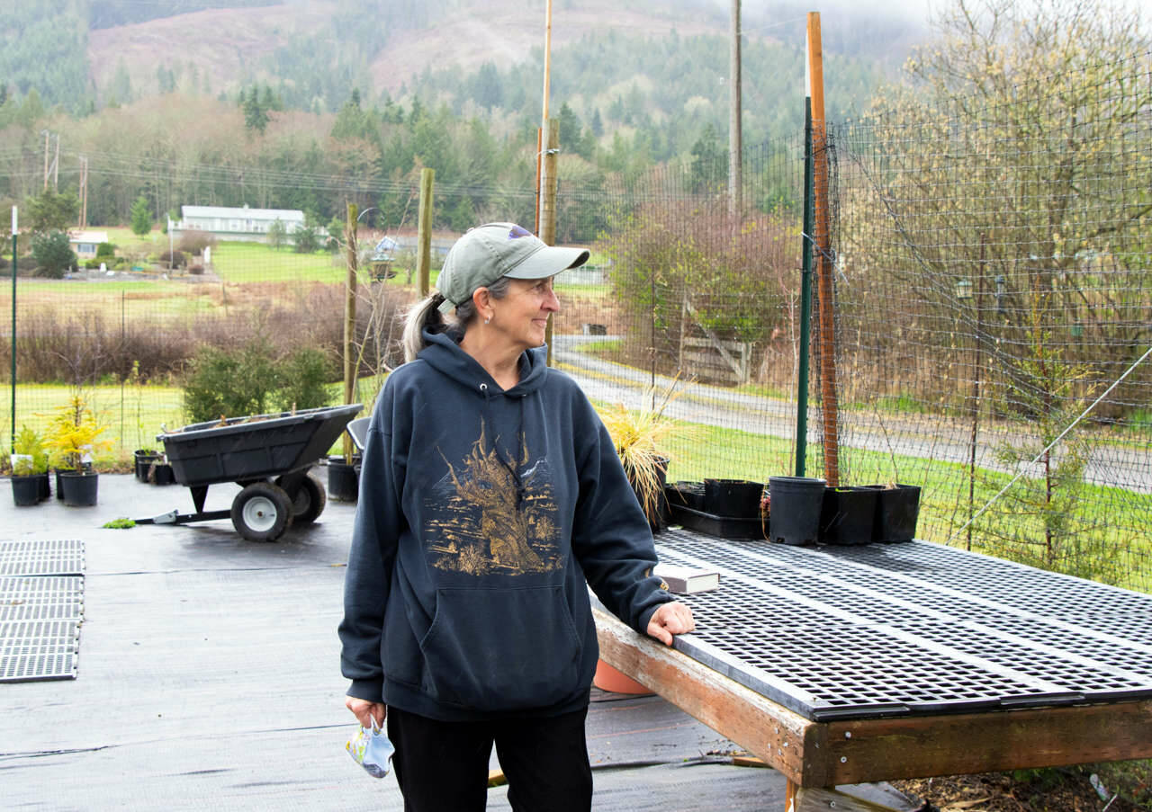 Lissa Bennett, owner of Friendly Natives Plant and Design, pauses in her work on a rainy day at the end of March in Happy Valley. Sequim Gazette photo by Emily Matthiessen