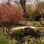 Consider a number of alternatives to lawns, such as this scene at the Clallam County Master Gardeners Woodcock Demonstration Garden. Photo by Sandy Cortez