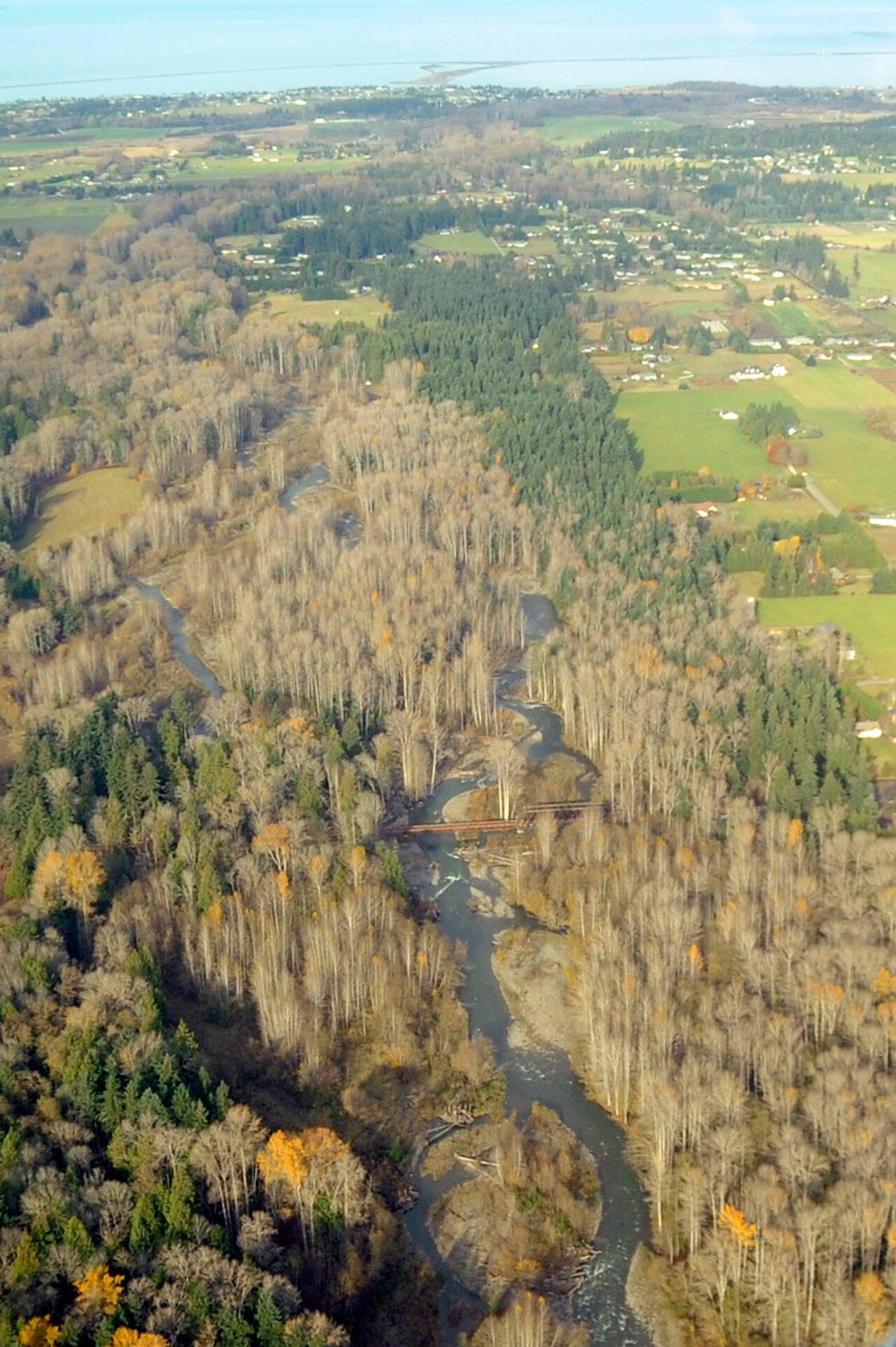 Sequim Gazette photo by Michael Dashiell
Once the Environmental Protection Agency approves a future plan, the Jamestown SKlallam Tribes staff will receive authority to grant, deny, or waive certifications of proposed federal licenses or permits that may discharge into waters of the United States. This applies to its reservation and trust lands, such as surface waters on almost 645 acres including the Dungeness River, seen here in Nov. 2020.