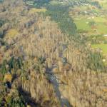 Sequim Gazette photo by Michael Dashiell
Once the Environmental Protection Agency approves a future plan, the Jamestown SKlallam Tribes staff will receive authority to grant, deny, or waive certifications of proposed federal licenses or permits that may discharge into waters of the United States. This applies to its reservation and trust lands, such as surface waters on almost 645 acres including the Dungeness River, seen here in Nov. 2020.