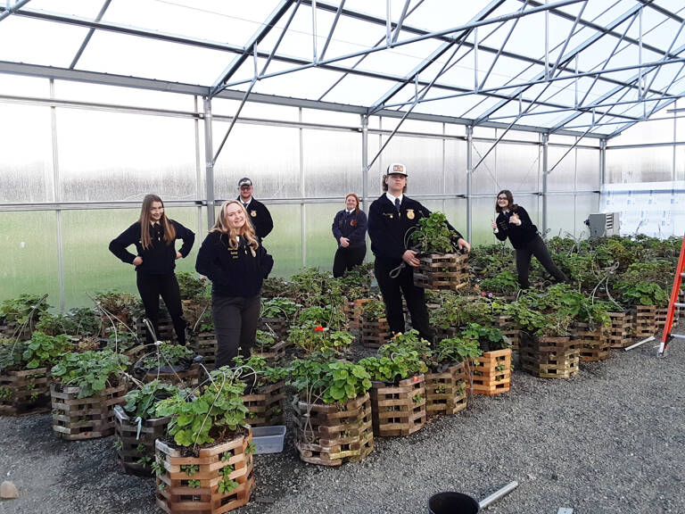 Photo courtesy of Bill McFarlen
Sequim High School agriculture science students show off flower baskets theyve made, part of the schools annual fundraising partnership with the City of Sequim.
