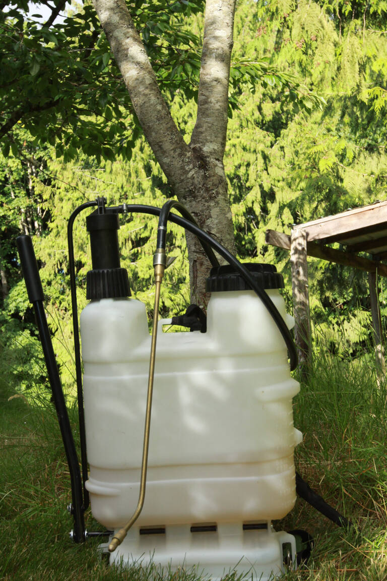 Consider the benefits of horticultural oils when caring for your home garden. Photo by Sandy Cortez