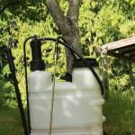 Consider the benefits of horticultural oils when caring for your home garden. Photo by Sandy Cortez