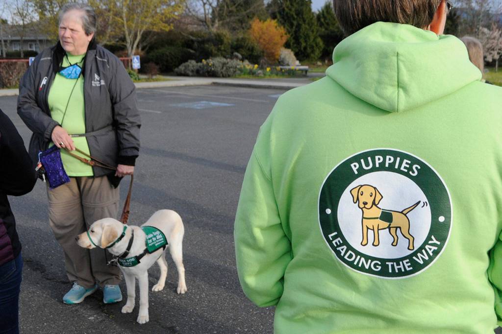 Sequim Gazette photo by Matthew Nash