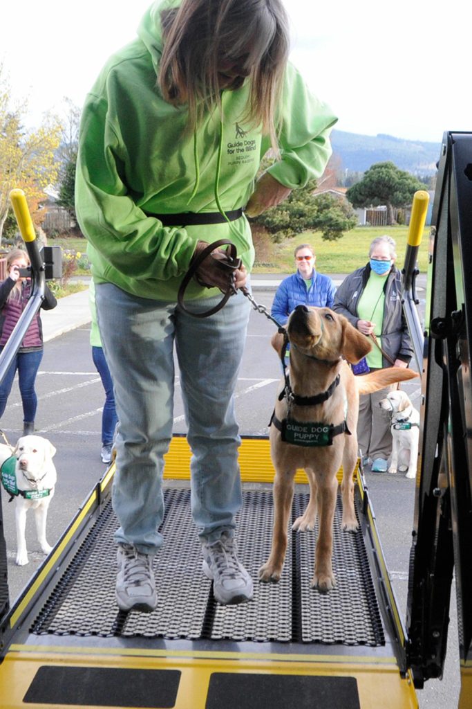 Sequim Gazette photo by Matthew Nash