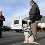 Sequim Gazette photo by Matthew Nash
Delaney Ronish, Clallam Transit mobility coordinator, left, talks with Karen Tyson about raising Babs, a 7-month-old lab in training for Guide Dogs for the Blind, on April 14. Tyson and three other raisers brought their guide dogs on a Paratransit bus to familiarize them with its ramp and experiences.