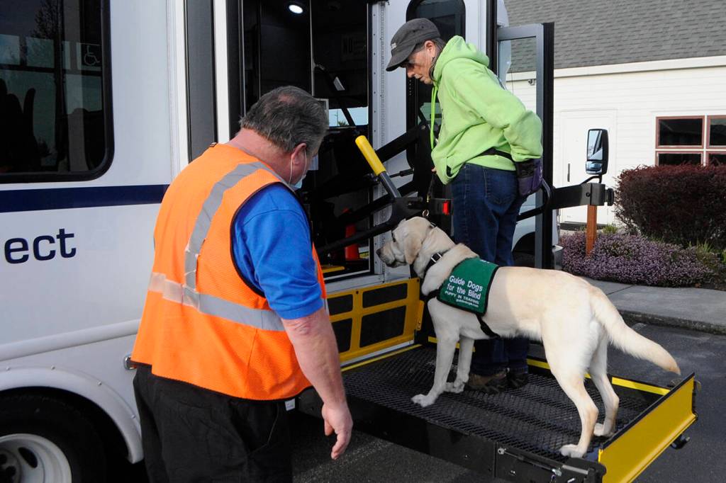Sequim Gazette photo by Matthew Nash
Paratransit driver Jim Paradis helps Deb Coxs Vespa the dog go up the bus ramp on April 14 during the Sequim Puppy Raisers meeting for Guide Dogs for the Blind.