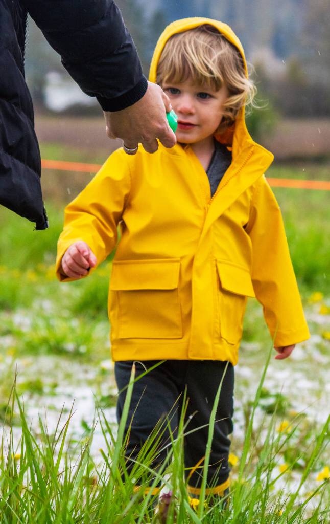 Sequim Gazette photos by Emily Matthiessen
Two-year-old Dustin Scott searches for eggs with a little help from his family at the KSQM 91.5 FM and The Pumpkin Patchs Easter egg hunt on Saturday in a field full of icy snow.