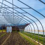 A view of a greenhouse in the process of being built using community funding to be repaid by a USDA grant, one of eight that Chis Farm utilizes to provide fresh salad mix to residents year round. Sequim Gazette photo by Emily Matthiessen