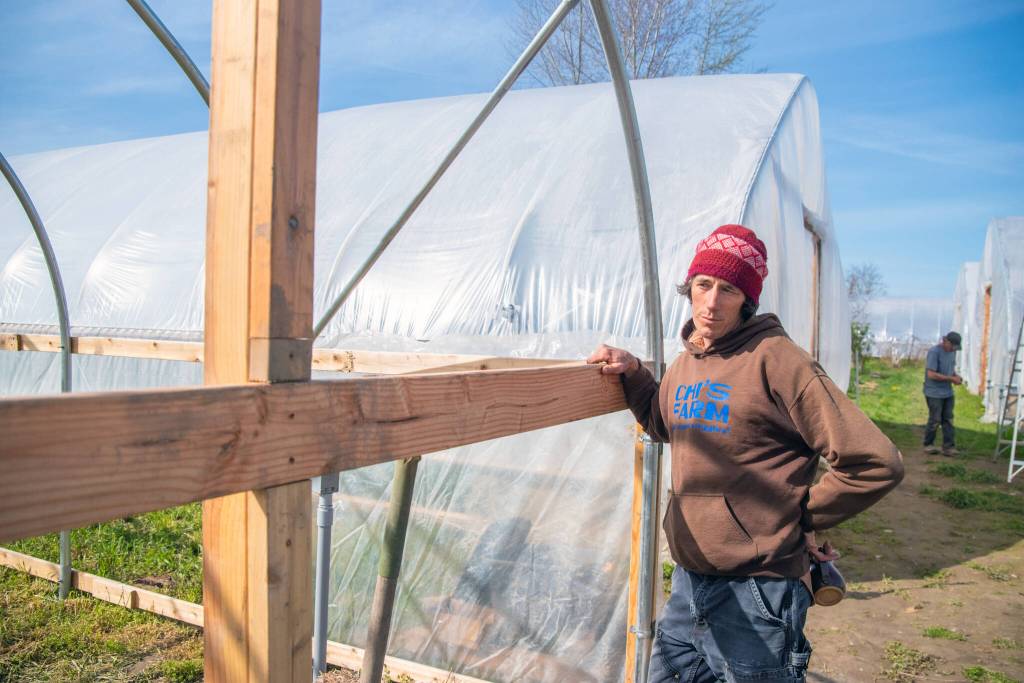 Scoot Chichester pauses outside Chis Farms newest greenhouse, being built with loans from community members that will be paid back utilizing a USDA grant after completion. Sequim Gazette photo by Emily Matthiessen