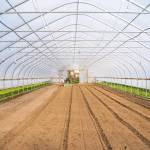 The interior of a greenhouse ready to be planted at Chis Farm in Sequim. The eight greenhouses on the farm make it possible for Chis to provide locals with salad greens year round and heat-loving produce in the summer and fall. Sequim Gazette photo by Emily Matthiessen