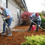 Sequim Community Church members freshen up the landscaping at Greywolf Elementary School during the multi-church Beautiful Day beautification efforts on April 30. Sequim Gazette photo by Michael Dashiell