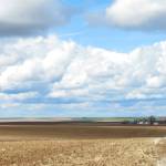 Photo by Gayle Brauner