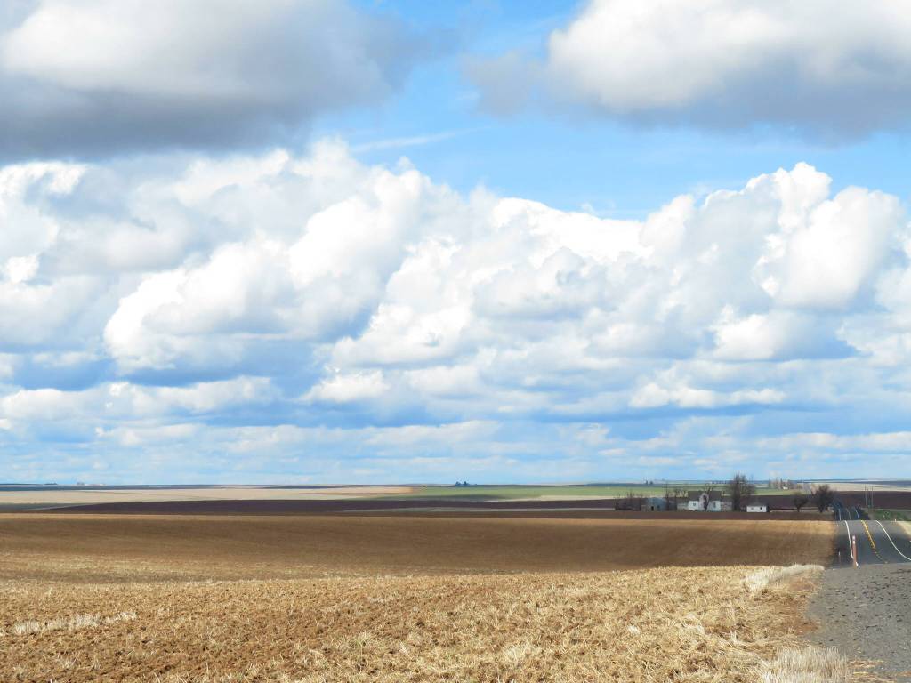 Photo by Gayle Brauner