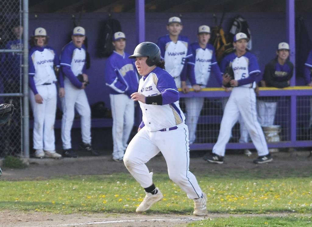 As teammates cheer him on, Sequims Ayden Holland comes home to score on a Connor Bear RBI double as the Wolves take on rival Port Angeles at home on May 2. Sequim Gazette photo by Michael Dashiell