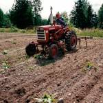 Photo courtesy of the Schmidt Family/ Family members of Roger Schmidt said his happy place was working in gardens.