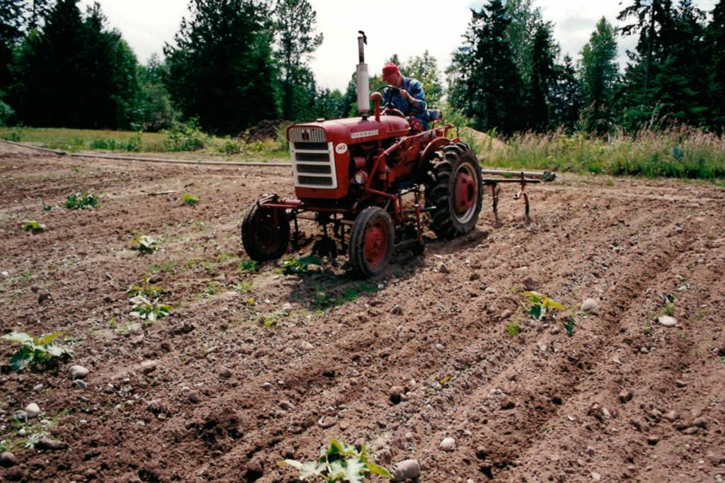 Photo courtesy of the Schmidt Family/ Family members of Roger Schmidt said his happy place was working in gardens.