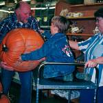 Photo courtesy of the Schmidt Family/ Roger Schmidt grabs a pumpkin for Sunny Farms Country Stores contest to see how many seeds were inside. The winning amount received a bike.