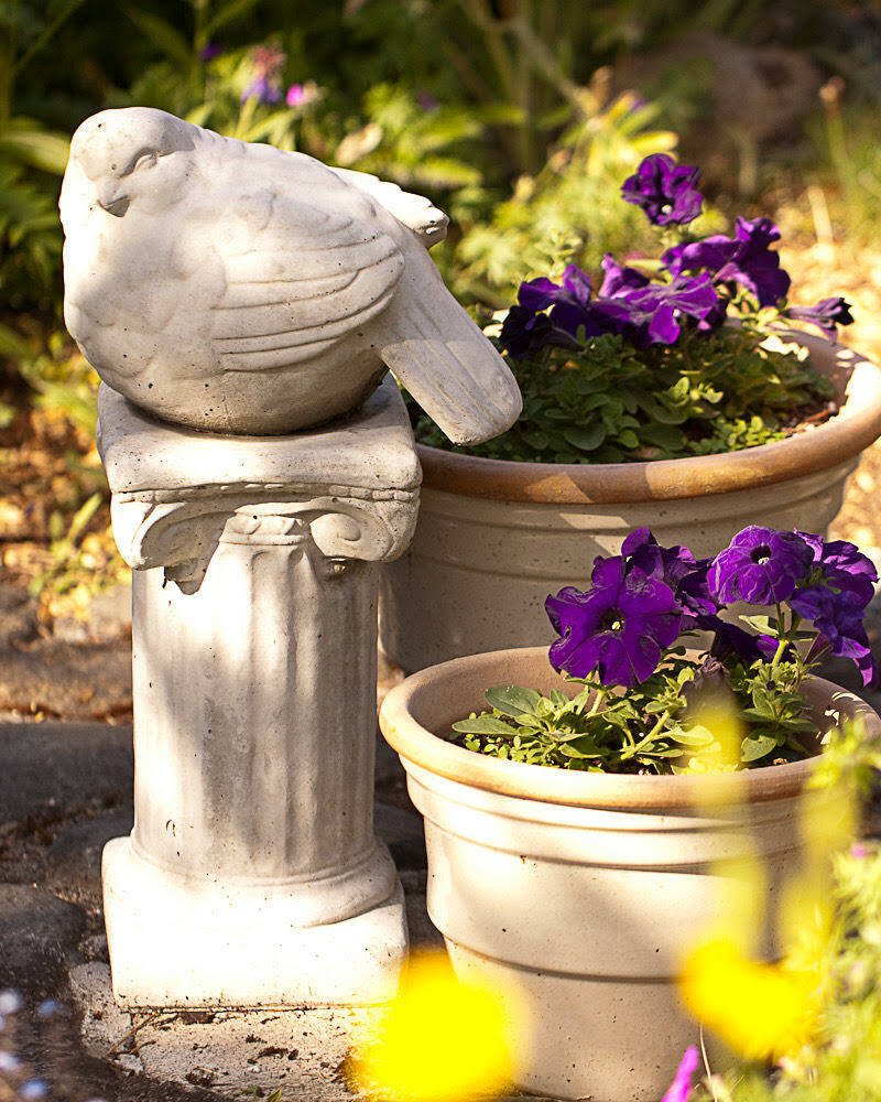 Photo by Sandy Cortez
Gardners have plenty of chores to consider to help their annuals and perennials flourish in June.