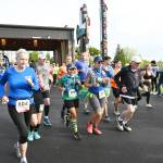 Runners break from the starting line of the 2022 North Olympic Discovery marathon at 7 Cedars Resort in Blyn on June 5. The 20th iteration of the Sequim-to-Port Angeles race was expected to draw 350 full marathoners and 20 relay teams to go along with 900 half marathon participants. Sequim Gazette photo by Michael Dashiell