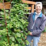 Submitted photo
Clallam County Master Gardener Jeanette Stehr-Green will teach local gardeners about selecting, planting, and caring for raspberries and blackberries from 10:30 a.m.-noon on Saturday, June 18, at the Master Gardener Demonstration Garden at 2711 Woodcock Road, in Sequim.