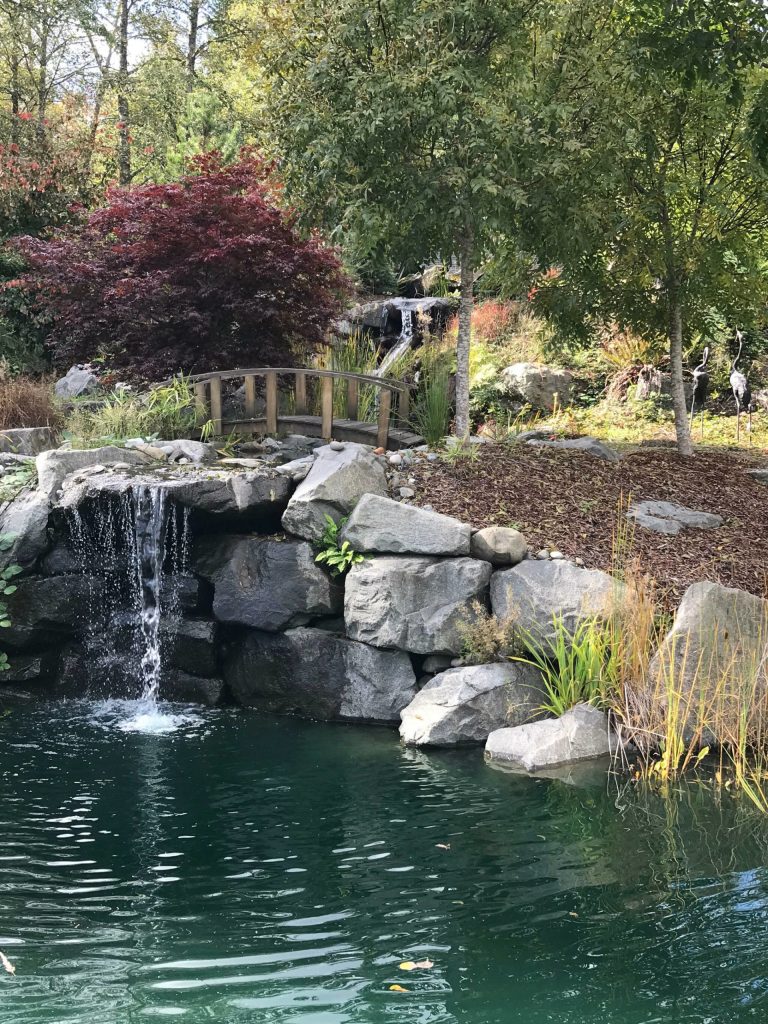 Photo by Karen Teig/Master Gardener Foundation of Clallam County
A Place to Reflect located west of Port Angeles, the third stop on the 2022 Petals & Pathways tour, is set back among towering evergreens. The heart of this compact garden is a water feature sporting multiple cascades.