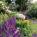 Photo courtesy Cathy Wagner
Master Gardener Valerie Bowers leads a walk through the Woodcock Demonstration Gardens answering visitors questions from 11 a.m.-12:30 p.m. Thursday, July 7.