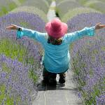 Sequim Gazette photo by Matthew Nash
Joan Nap of Concrete visits B&B Lavender Farm after attending a wedding in the area on July 9.