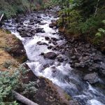 Photo by Nate van Laningham
Nate van Laninghams 2021 bikepacking trek offers views of the Hamma Hamma River, near the campground in the Olympic National Forest.