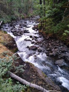 Photo by Nate van Laningham
Nate van Laninghams 2021 bikepacking trek offers views of the Hamma Hamma River, near the campground in the Olympic National Forest.