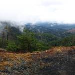 Nate Van Laninghams 2021 bikepacking trek offered sterling views, including this of the Hiid Canal up above Lilliwaup. Photo by Nate Van Laningham
