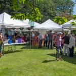 "We couldn't ask for a better day -- all way round," said George Dooley, past president of the Sequim Valley Lions, of the 10th Annual Crab Feed at Pioneer Park on Saturday. Sequim Gazette photo by Emily Matthiessen