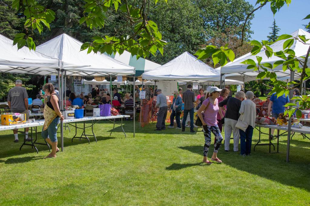 "We couldn't ask for a better day -- all way round," said George Dooley, past president of the Sequim Valley Lions, of the 10th Annual Crab Feed at Pioneer Park on Saturday. Sequim Gazette photo by Emily Matthiessen